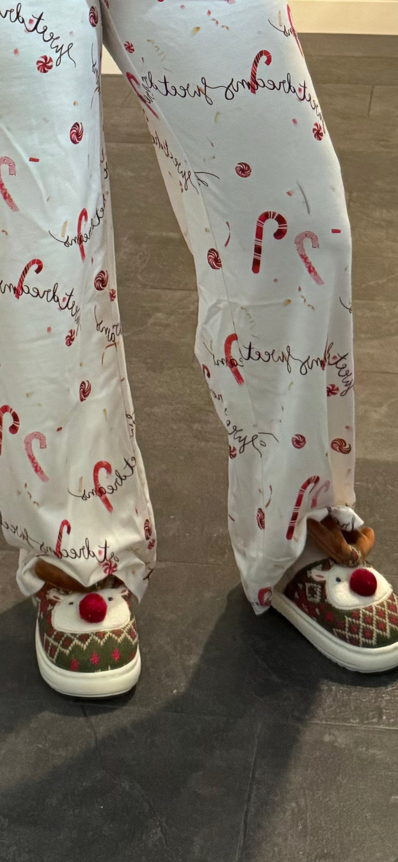 Plush Reindeer Slippers